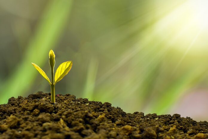 From Side Hustle to Full-Time Income: Unlocking the Potential of