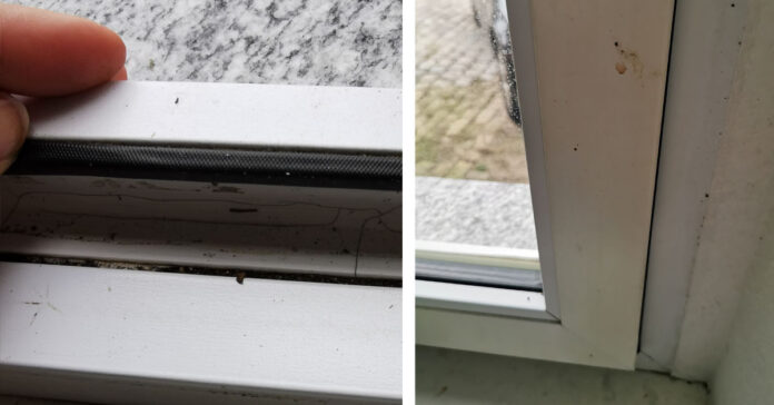 Cleaning-plastic-windows-Short-and-simple-instructions.jpg