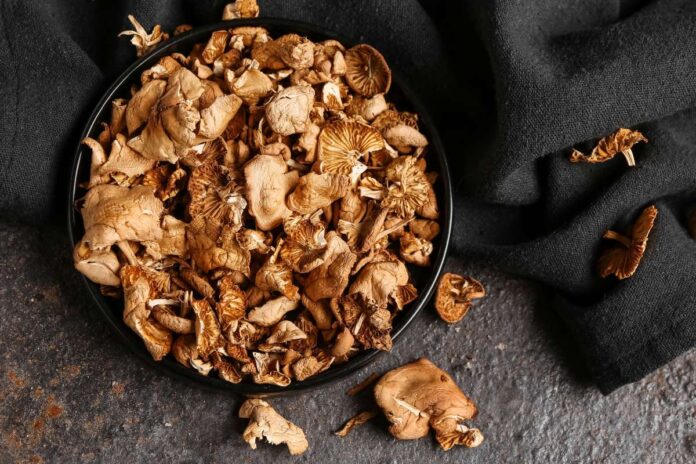 Drying-chanterelles-this-trick-will-help-you-preserve-the-mushrooms.jpg