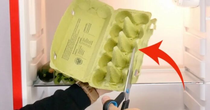 Fridge-These-8-tricks-will-keep-your-fridge-tidy.jpg