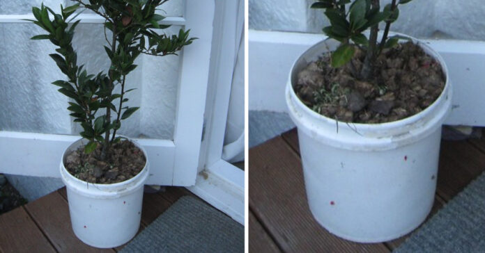 Ugly-decorations-these-things-are-ruining-your-home.jpeg