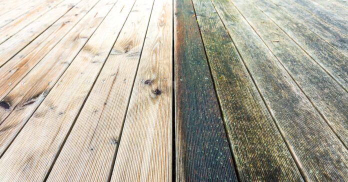 Cleaning-Mossy-patio-Combine-these-2-home-remedies.jpg