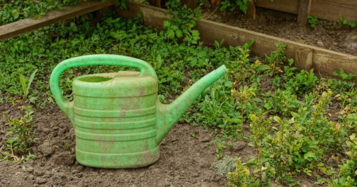 Cleaning-Watering-can-becomes-a-germ-trap-how-to.jpg