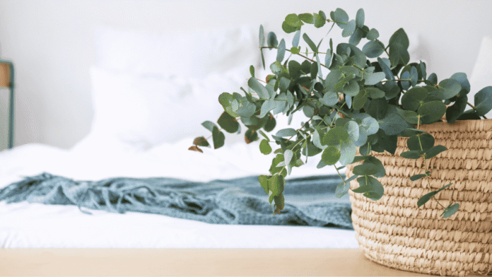 Houseplants-This-plant-looks-great-smells-wonderful-and-hardly.png